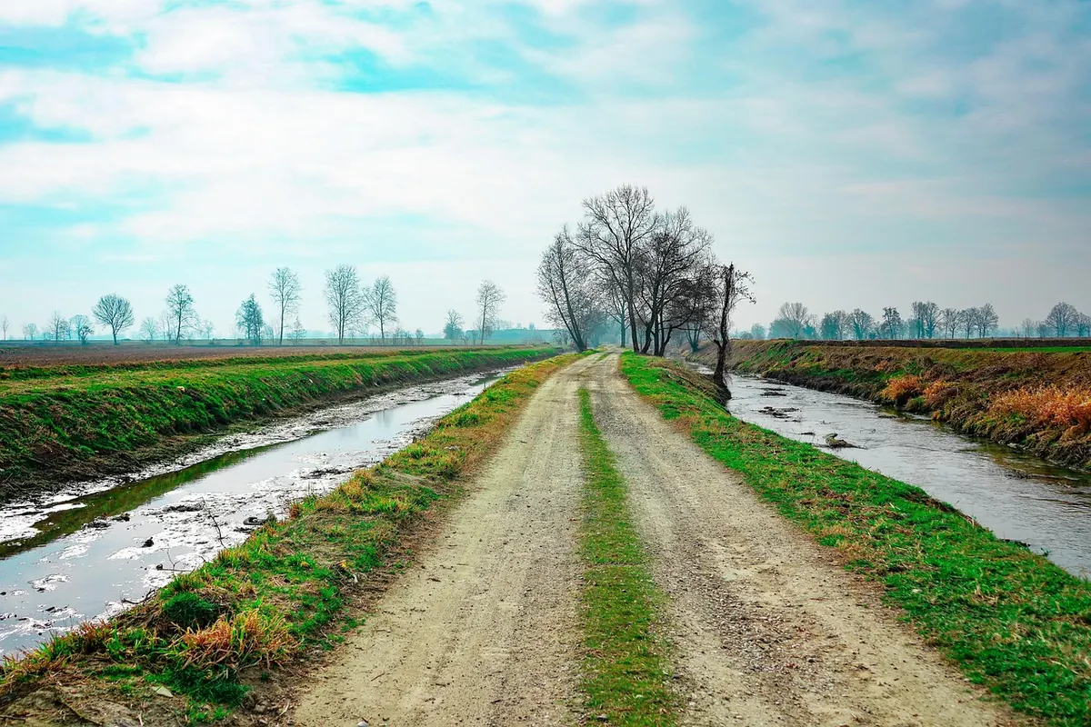 Common Mistakes Drivers Make on Wiltshire Country Roads (and How to Avoid Them)
